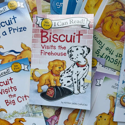 29 Books/Set Biscuit Series I Can Read English Picture Books, Kids Early Education Story Reading Books for Children