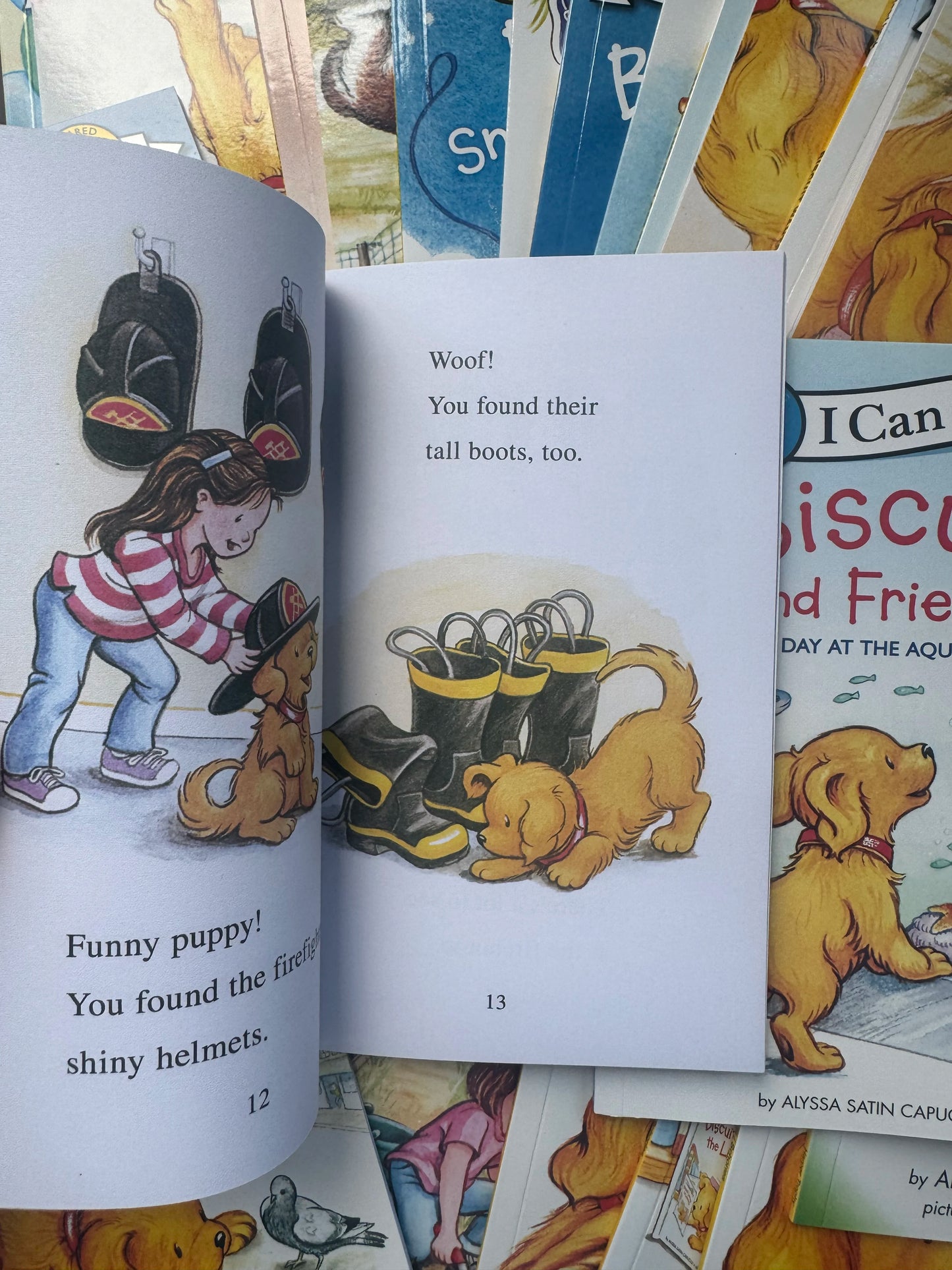 29 Books/Set Biscuit Series I Can Read English Picture Books, Kids Early Education Story Reading Books for Children
